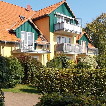 Friedensstra_E 41 Wohnung 10 Zingst Exteriér fotografie